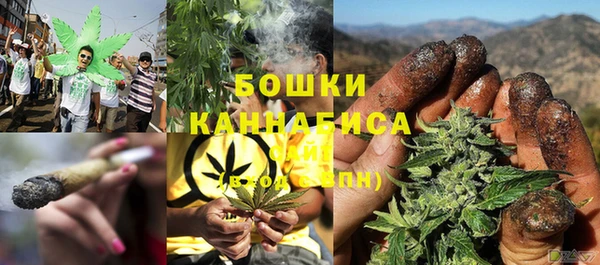 шишки Аркадак