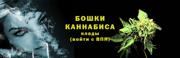 шишки Аркадак