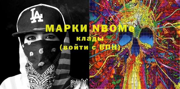 шишки Аркадак