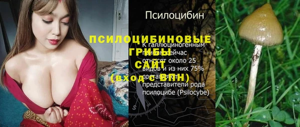 гидра Армянск