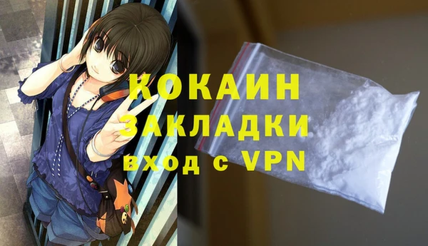 шишки Аркадак