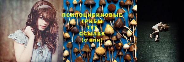 меф Арсеньев