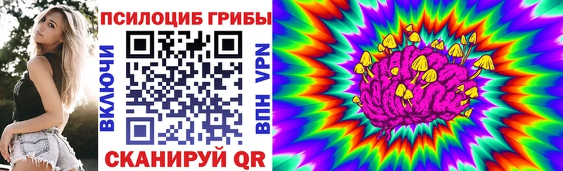 Псилоцибиновые грибы Cubensis  Купить закладки  Устюжна 